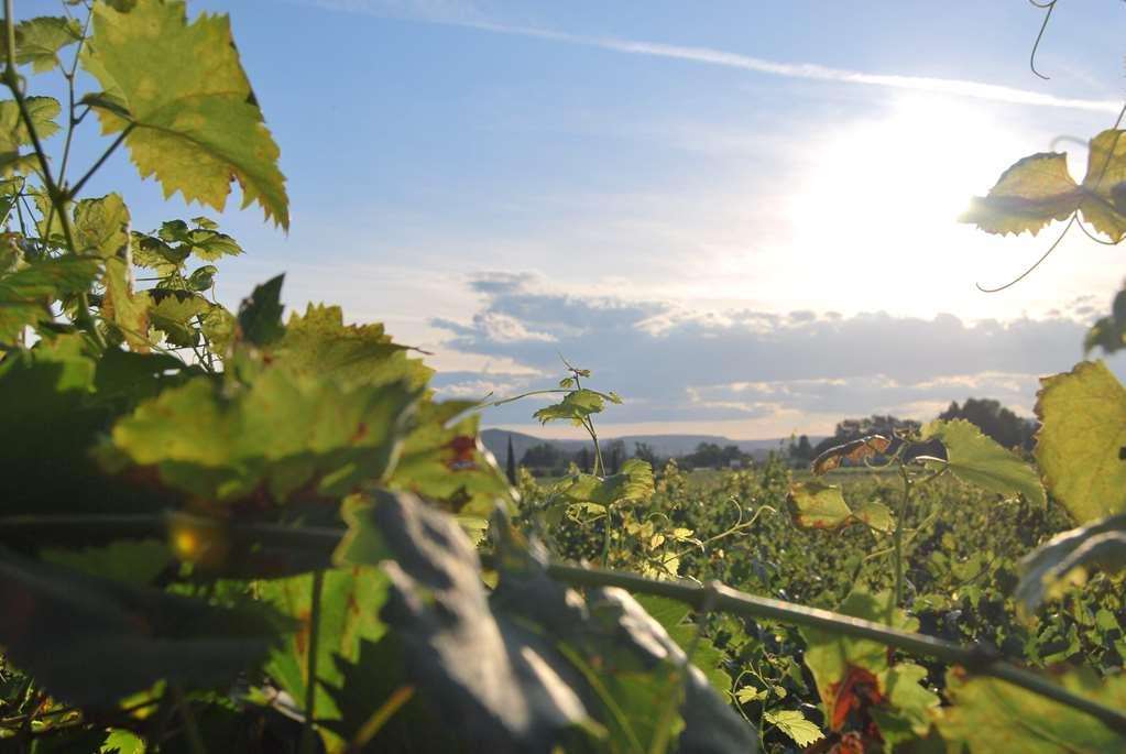 Clos St Eloi, The Originals Relais Тиерс Екстериор снимка